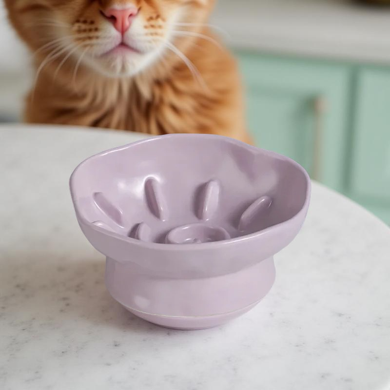 Gamelle anti-glouton - FloraBowl Lavande 🌺