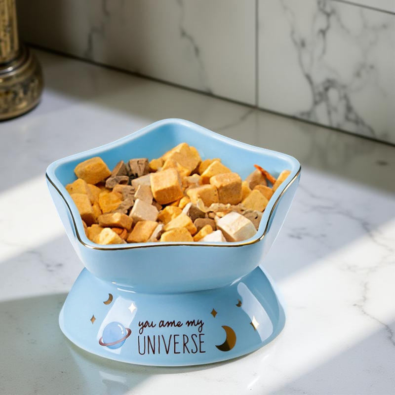 Gamelle surélevée - StarFeast🌟