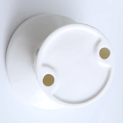 Gamelle surélévée - MizuBowl🐾