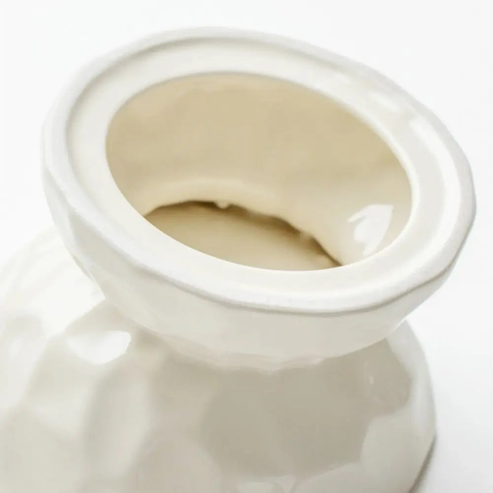 Gamelle surélevée - TerraBowl Ivoire 🤍