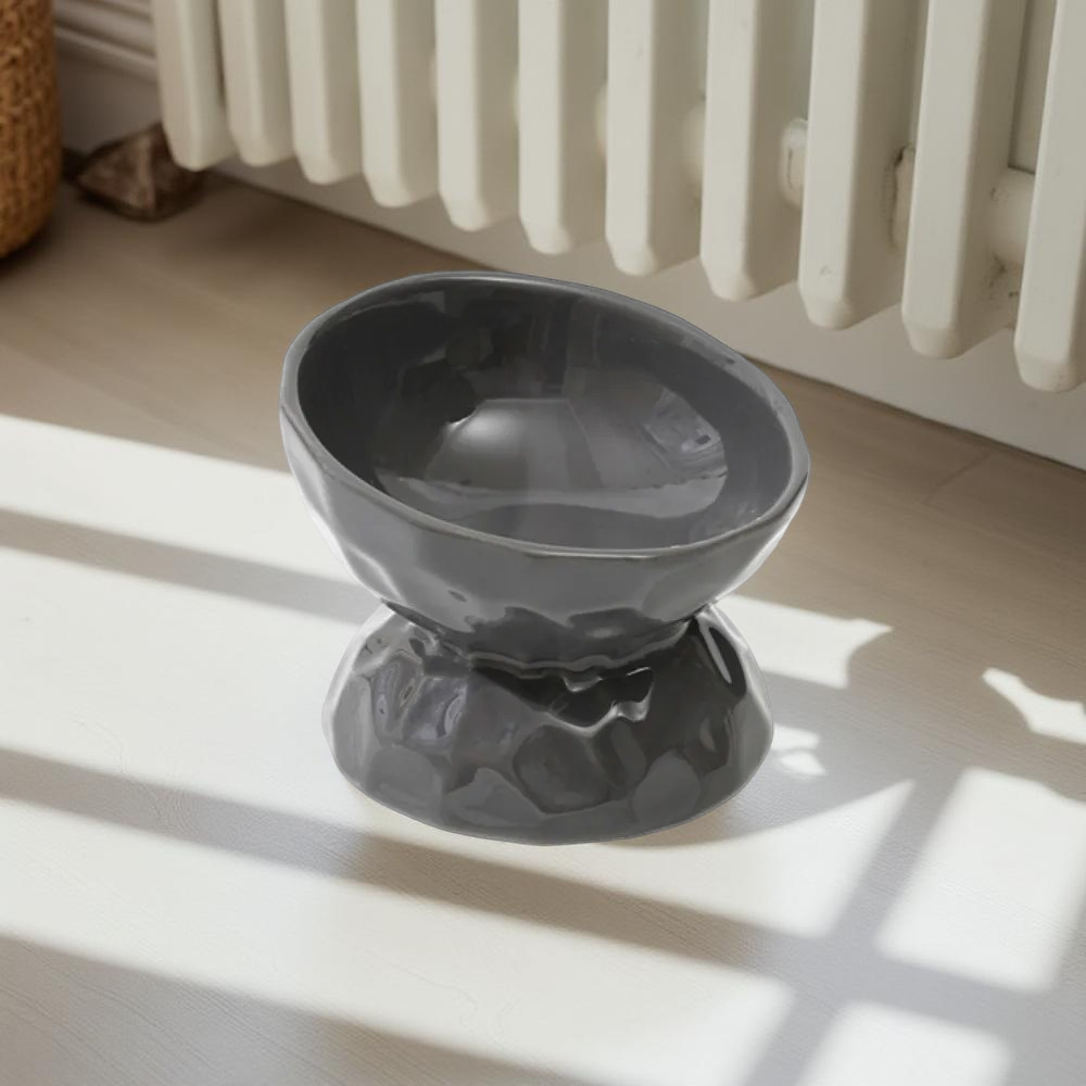 Gamelle surélevée - TerraBowl Tilt Noir 🖤