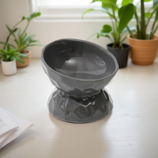 Gamelle surélevée - TerraBowl Tilt Noir 🖤