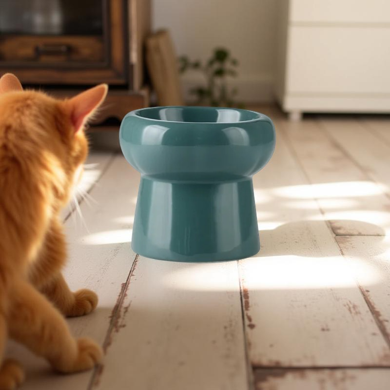 Gamelle surélevée - MonoBowl 🐾 Verte foncée