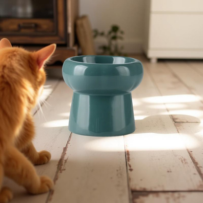 Gamelle surélevée - MonoBowl 🐾 Verte foncée