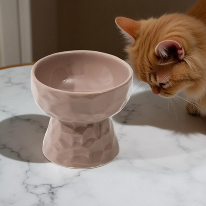 Gamelle surélevée - TerraBowl Terracotta 🧡