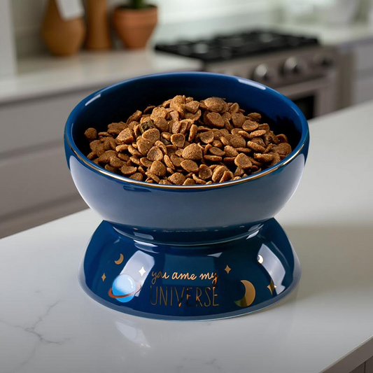 Gamelle surélevée - CosmoBowl Bleu🌙✨