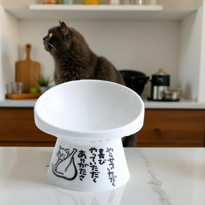 Gamelle surélévée - KawaiiMeow🐾
