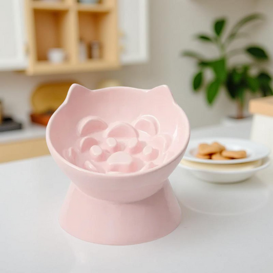 Gamelle anti-glouton - MazeBowl Lift Rose Pastel 🐾