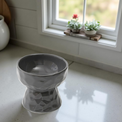 Gamelle surélevée - TerraBowl Noir 🖤