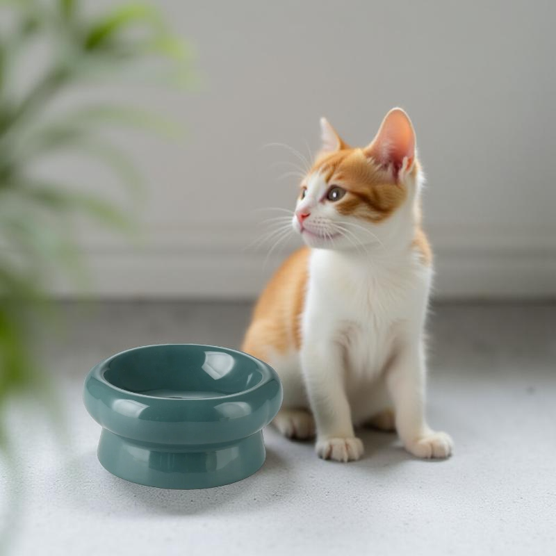 Gamelle surélevée - MonoBowl Short 🐾 Verte foncée