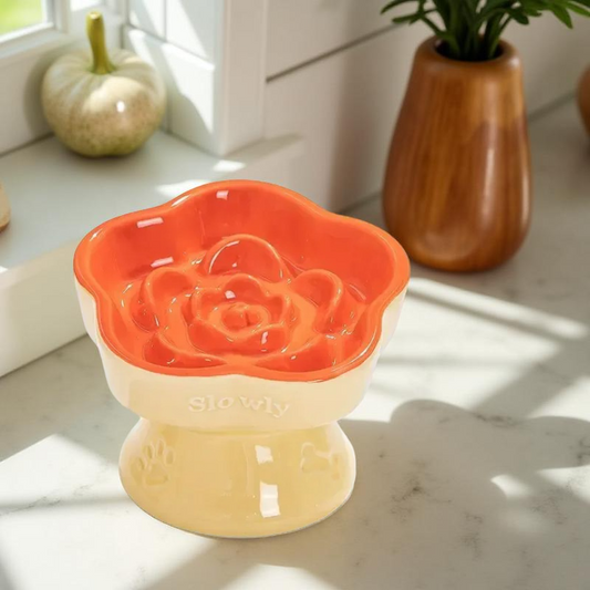 Gamelle anti-glouton - SlowlyBowl - Orange