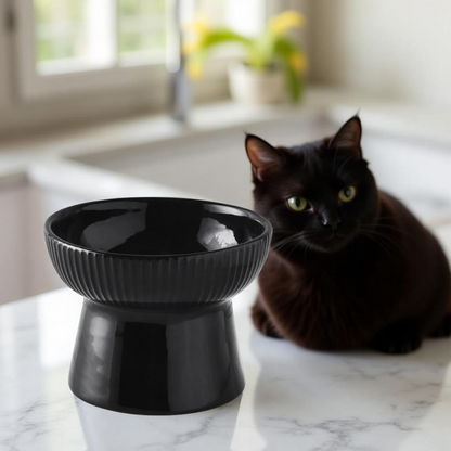Gamelle Surélevée - Elevia Noir Classique 🖤